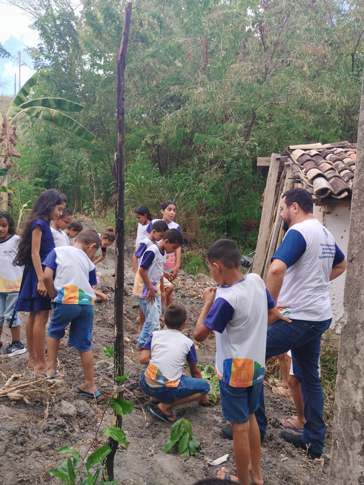 Acompanhamento pedagógico em 04 escolas no município de Bonito